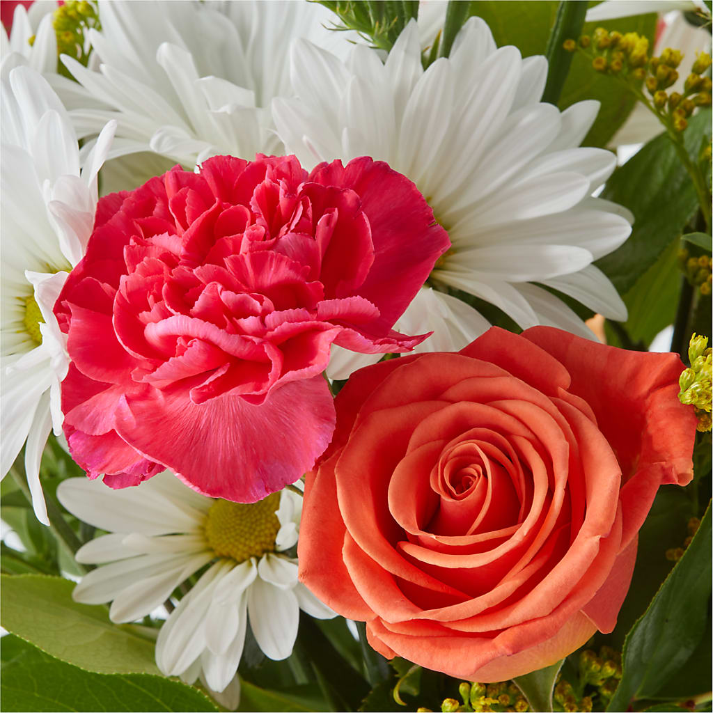 Oopsie Daisy Bouquet – PAUL'S FLOWERS, Charlottetown PE