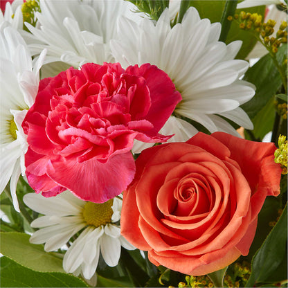 Oopsie Daisy Bouquet – PAUL'S FLOWERS, Charlottetown PE