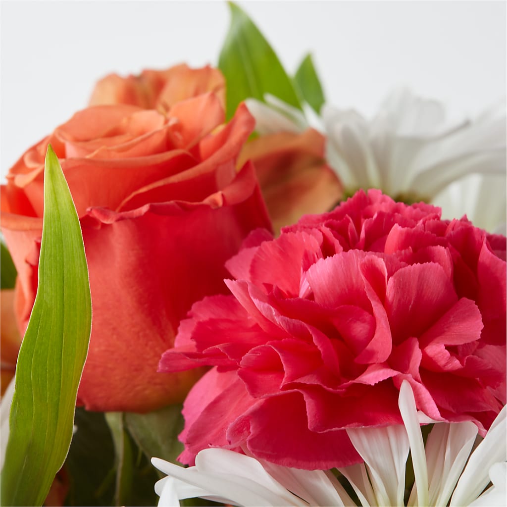 Oopsie Daisy Bouquet – PAUL'S FLOWERS, Charlottetown PE