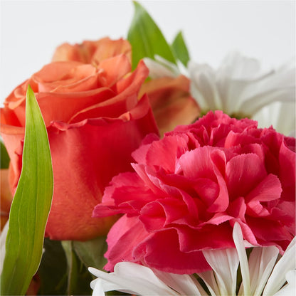 Oopsie Daisy Bouquet – PAUL'S FLOWERS, Charlottetown PE