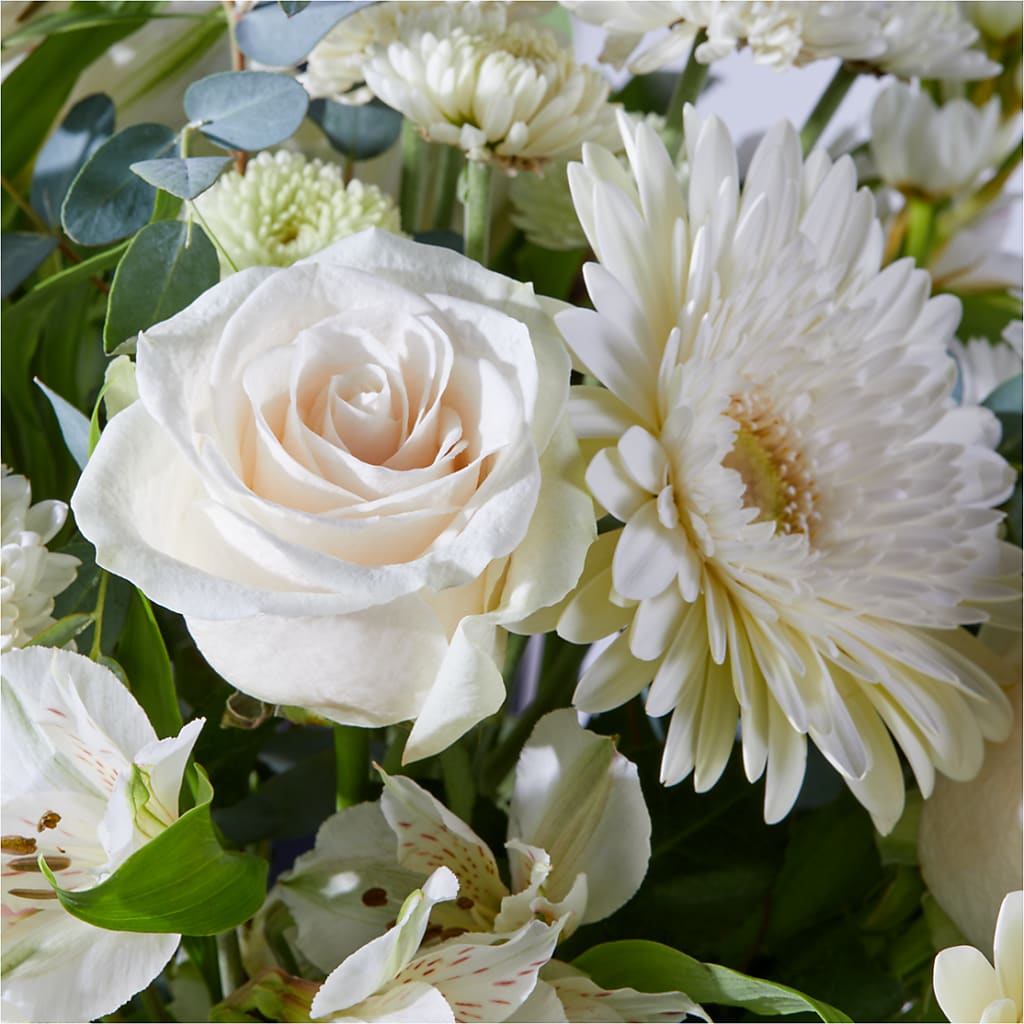New Beginnings – A Florist Original – PAUL'S FLOWERS, Charlottetown PE