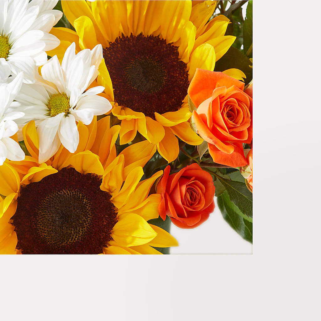 Sun-drenched Blooms Box Bouquet – PAUL'S FLOWERS, Charlottetown PE