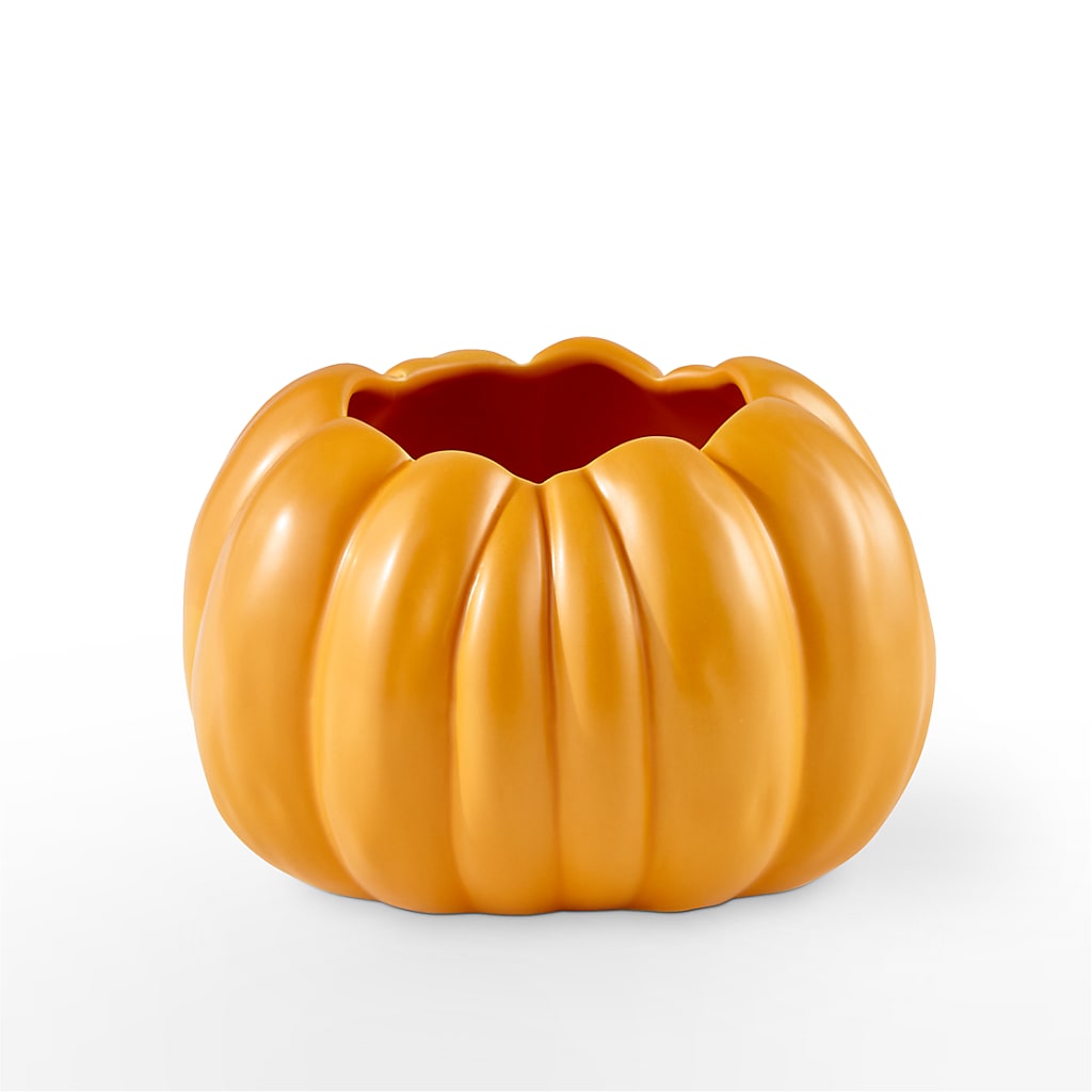 Pick of the Patch Pumpkin Bouquet – PAUL'S FLOWERS, Charlottetown PE