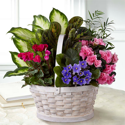 Peaceful Garden Planter – PAUL'S FLOWERS, Charlottetown PE