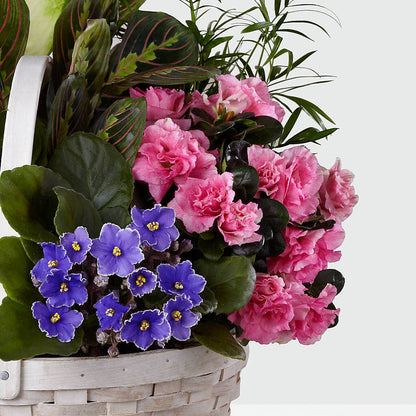 Peaceful Garden Planter – PAUL'S FLOWERS, Charlottetown PE