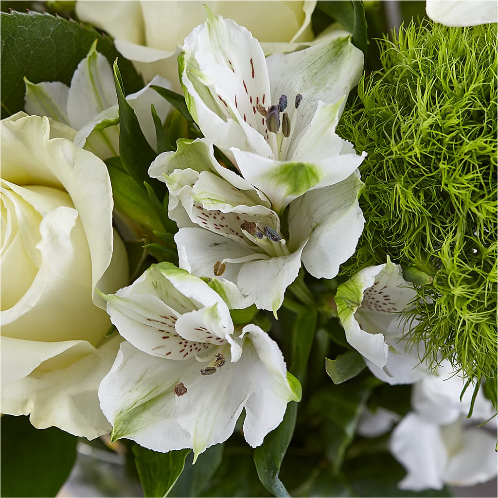 Classic Ivory – A Florist Original – PAUL'S FLOWERS, Charlottetown PE