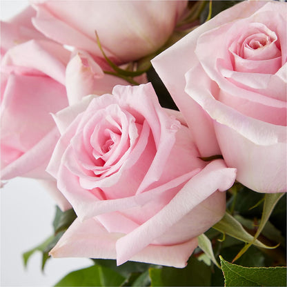 Picture Perfect Pink Rose Bouquet – PAUL'S FLOWERS, Charlottetown PE