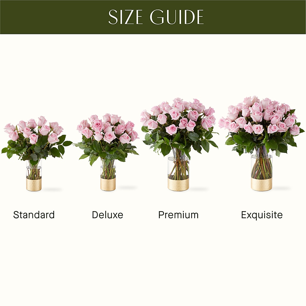 Picture Perfect Pink Rose Bouquet – PAUL'S FLOWERS, Charlottetown PE