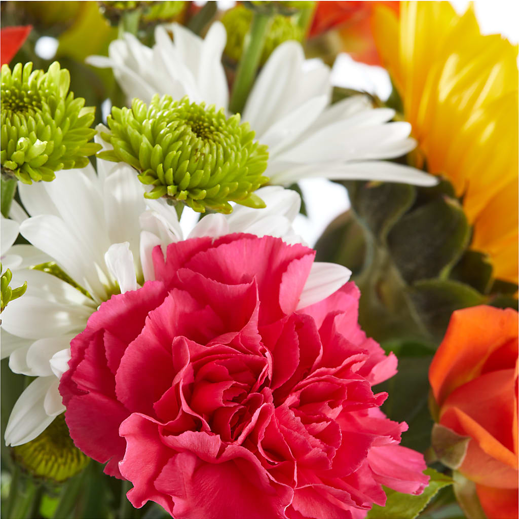 Sun-drenched Blooms Bouquet – PAUL'S FLOWERS, Charlottetown PE
