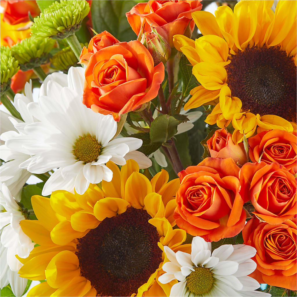 Sun-drenched Blooms Bouquet – PAUL'S FLOWERS, Charlottetown PE