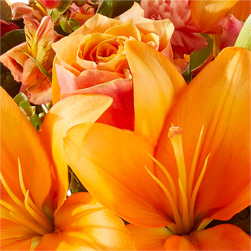 Afternoon Light Bouquet – PAUL'S FLOWERS, Charlottetown PE
