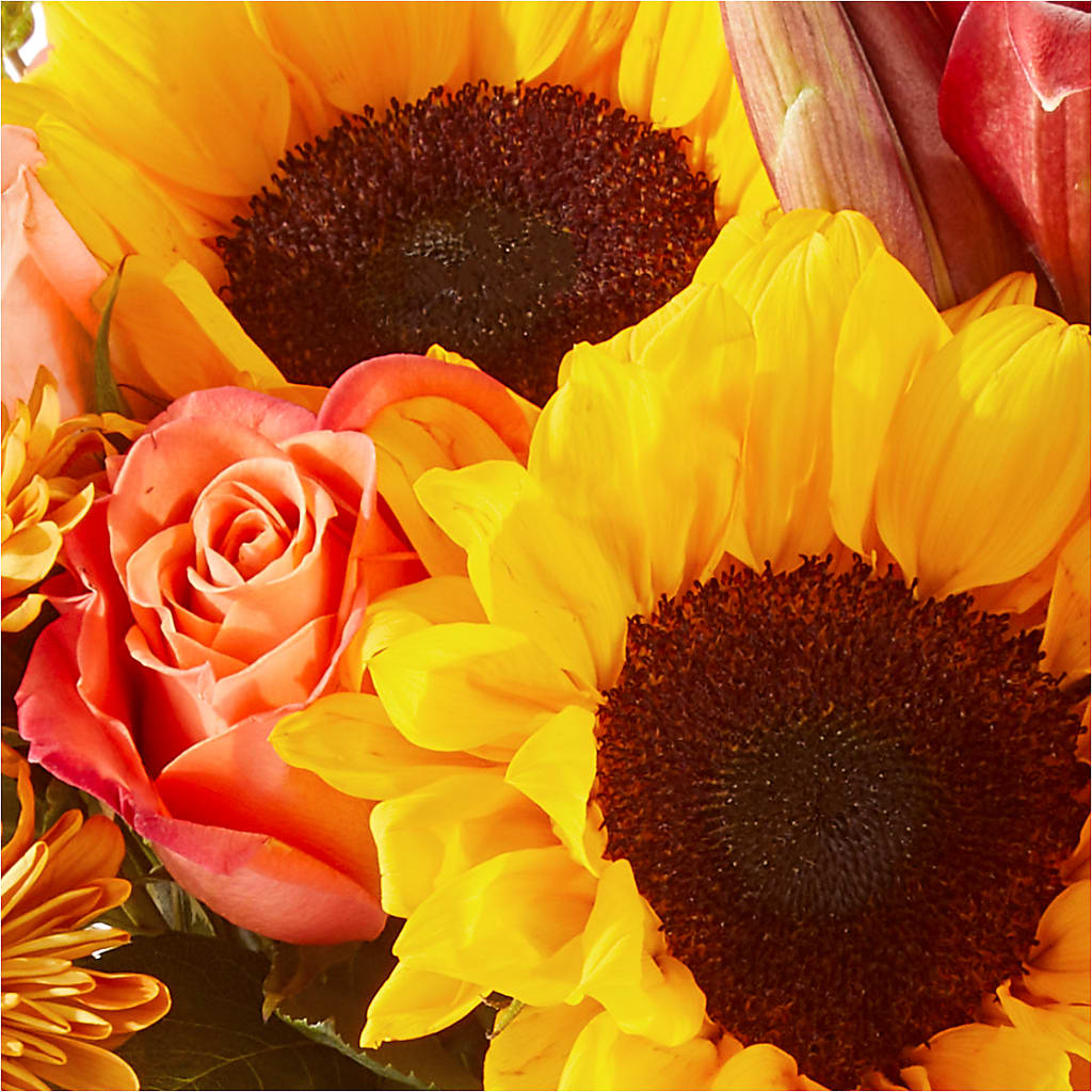 Acorn Lane Bouquet – PAUL'S FLOWERS, Charlottetown PE