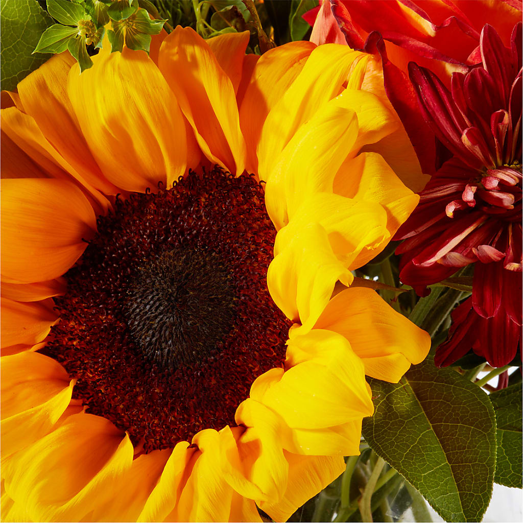 Harvest Festival Bouquet – PAUL'S FLOWERS, Charlottetown PE
