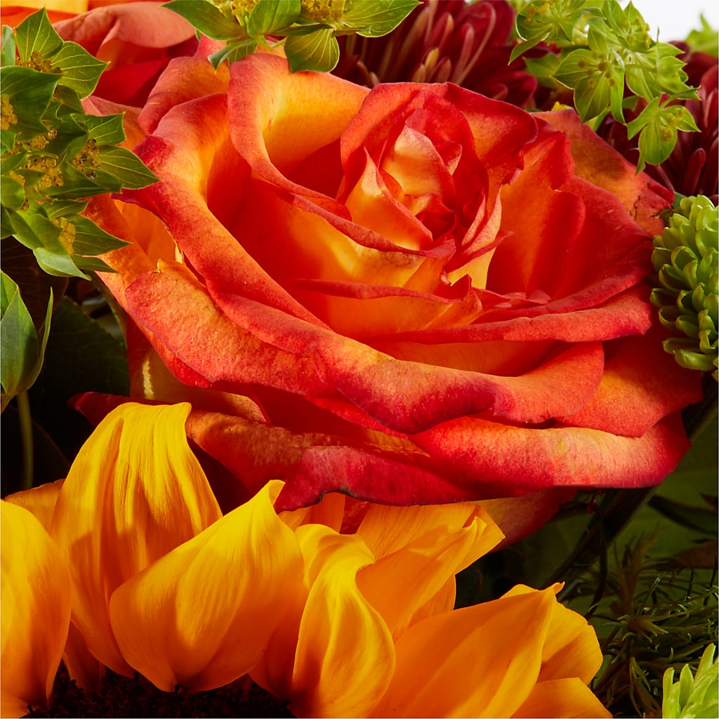 Harvest Festival Bouquet – PAUL'S FLOWERS, Charlottetown PE