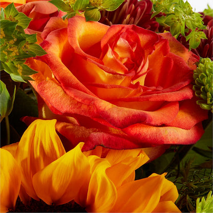 Harvest Festival Bouquet – PAUL'S FLOWERS, Charlottetown PE
