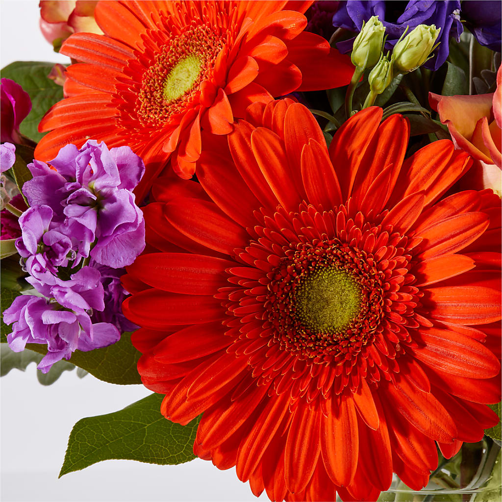 Sangria Bouquet – PAUL'S FLOWERS, Charlottetown PE