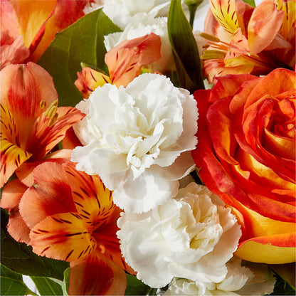 Apricot Glow Bouquet – PAUL'S FLOWERS, Charlottetown PE