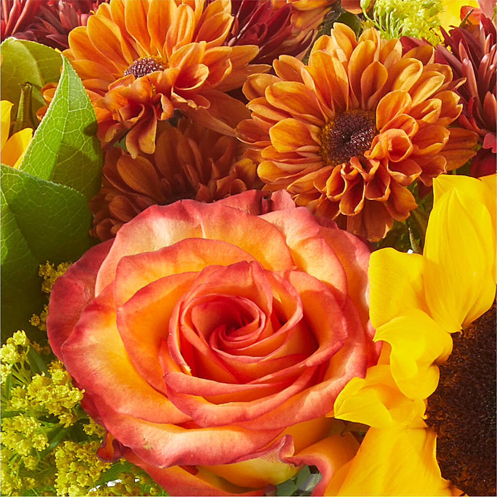 Flannel Scarf Bouquet – PAUL'S FLOWERS, Charlottetown PE