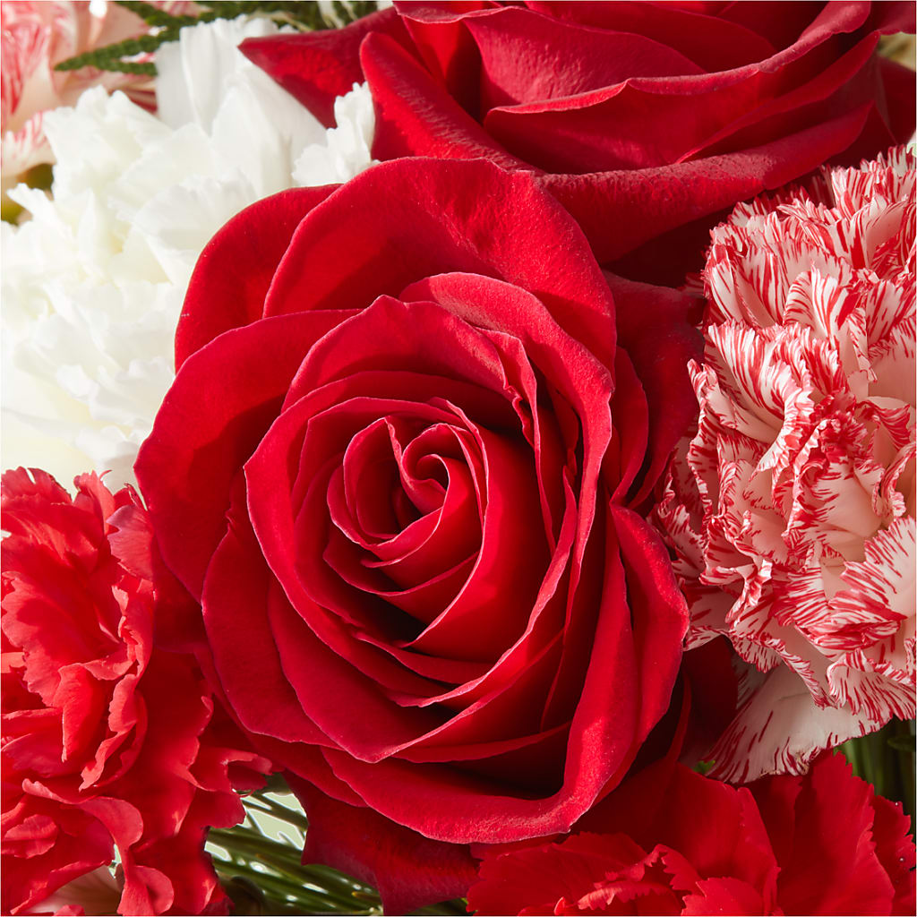 Candy Cane Lane Bouquet – PAUL'S FLOWERS, Charlottetown PE