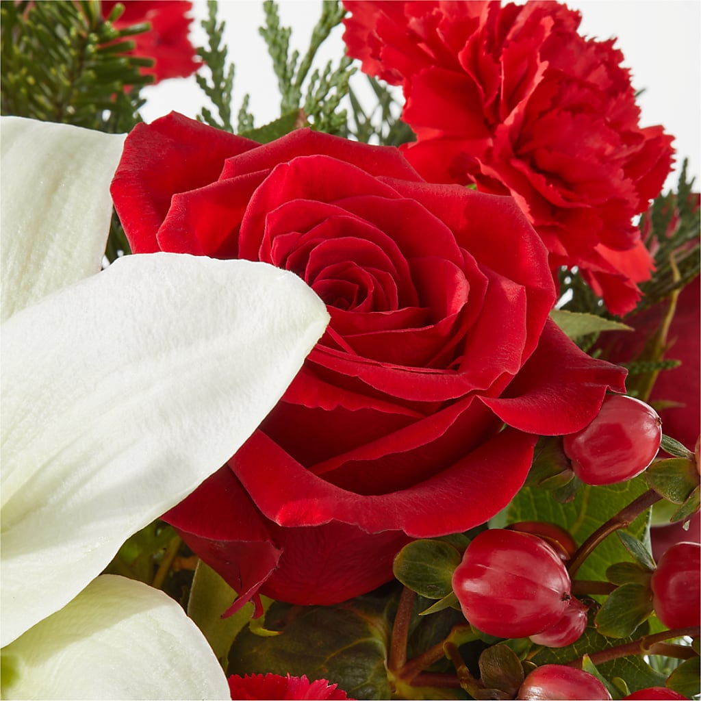 Oh So Jolly Bouquet – PAUL'S FLOWERS, Charlottetown PE