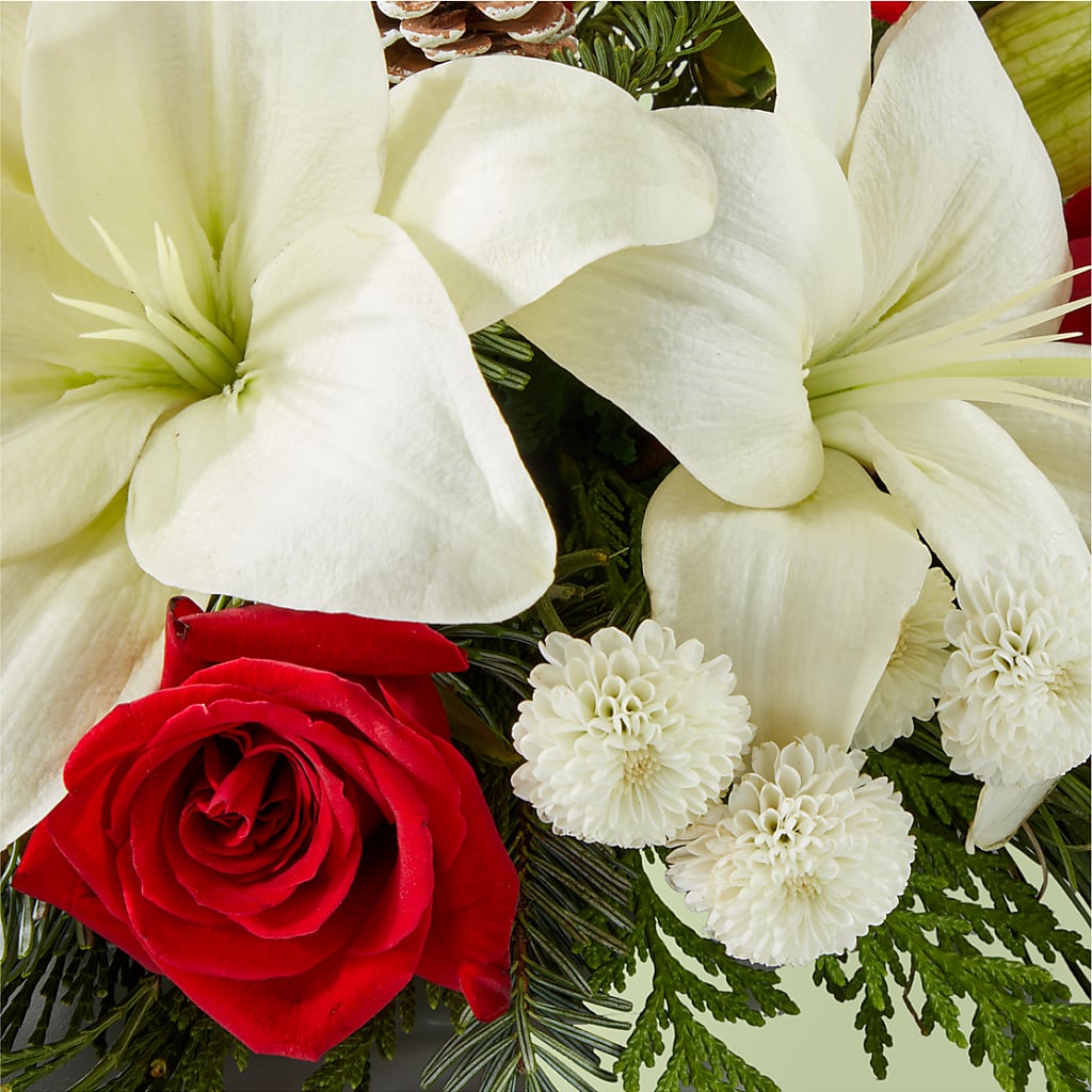 Seasonal Festivities Centerpiece – PAUL'S FLOWERS, Charlottetown PE