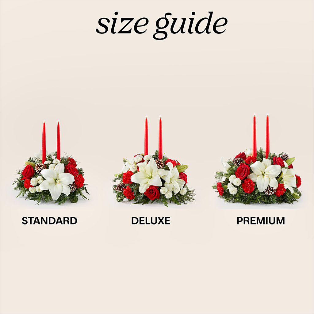 Seasonal Festivities Centerpiece – PAUL'S FLOWERS, Charlottetown PE