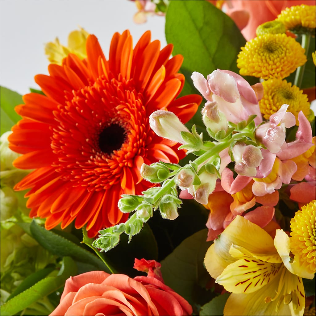 Autumn Sunshine Bouquet – PAUL'S FLOWERS, Charlottetown PE