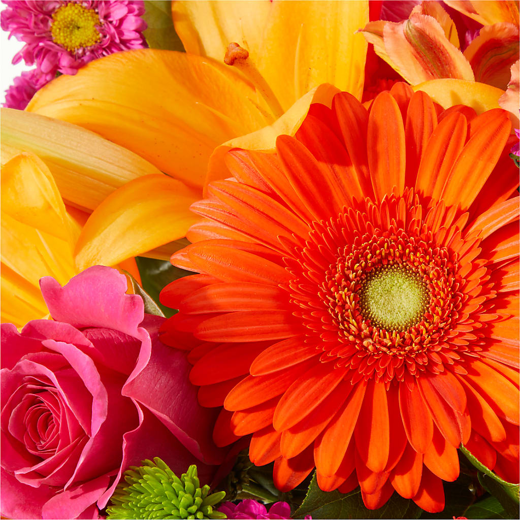 Soiree Bouquet – PAUL'S FLOWERS, Charlottetown PE