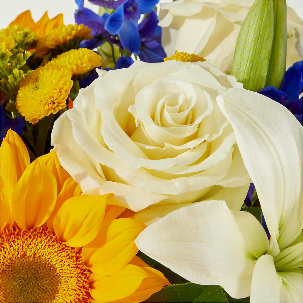 Stargazing Bouquet – PAUL'S FLOWERS, Charlottetown PE