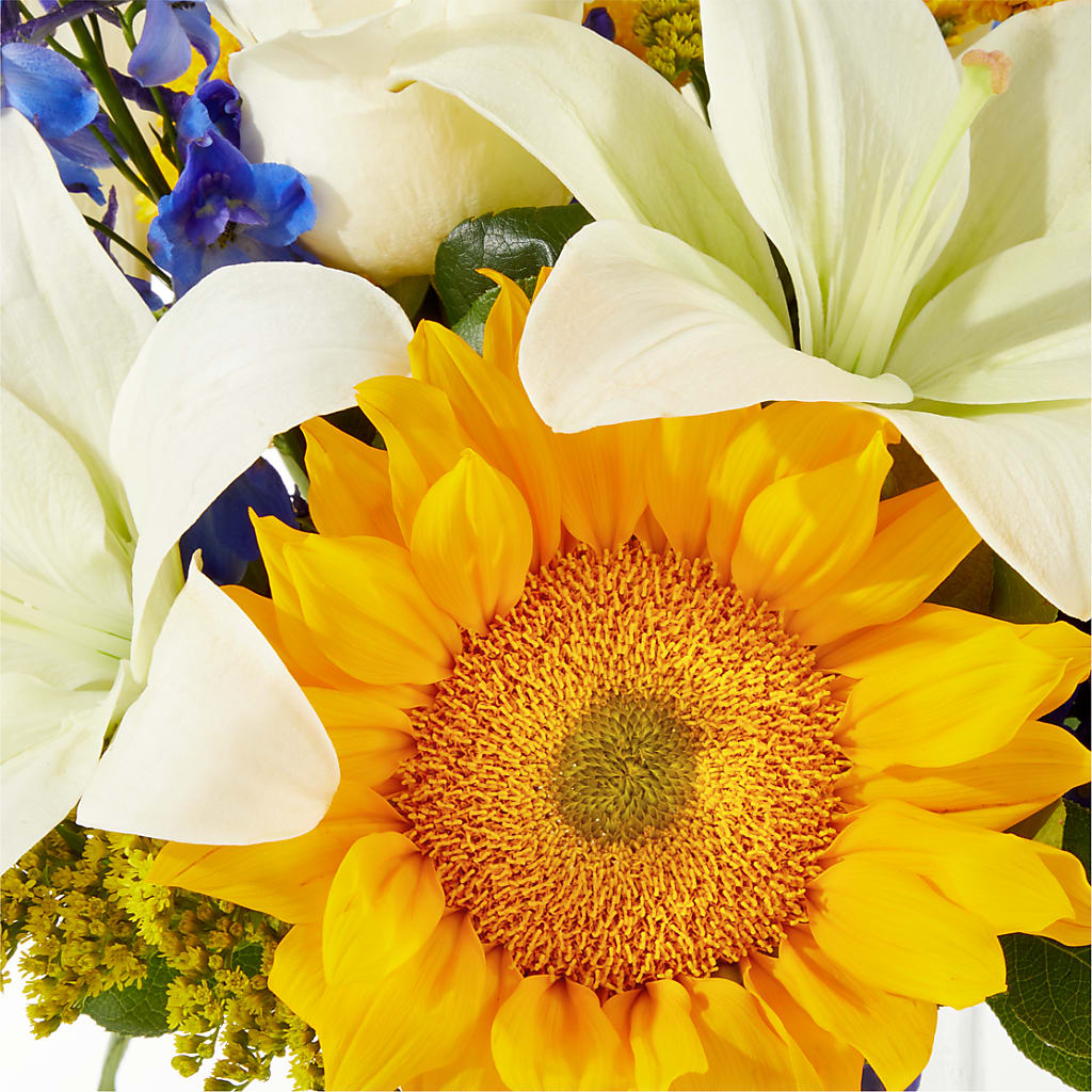 Stargazing Bouquet – PAUL'S FLOWERS, Charlottetown PE