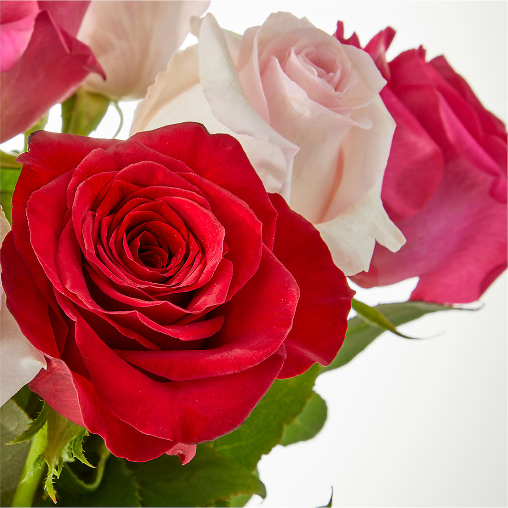 Charming Rose Bouquet – PAUL'S FLOWERS, Charlottetown PE