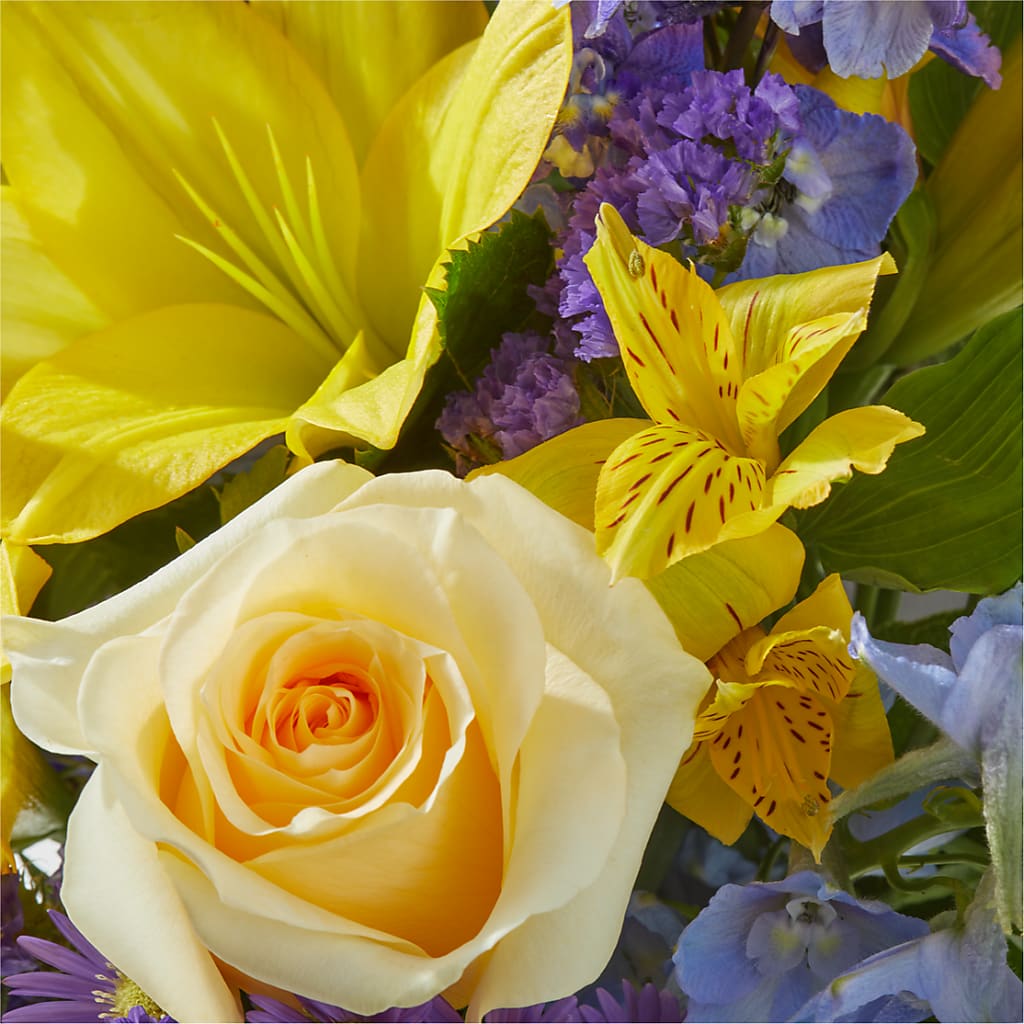 Limoncello Bouquet – PAUL'S FLOWERS, Charlottetown PE