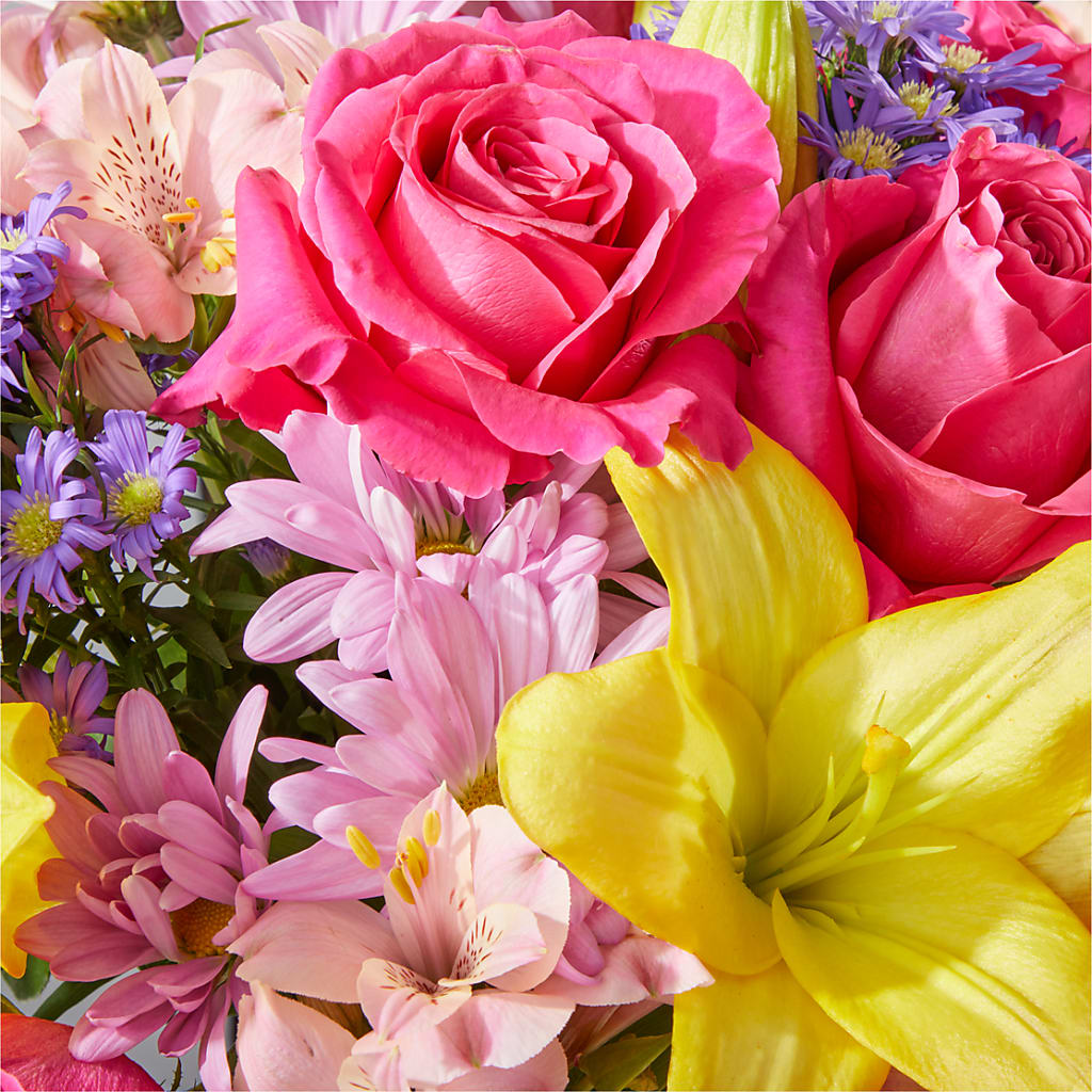 Sprinkles Bouquet – PAUL'S FLOWERS, Charlottetown PE