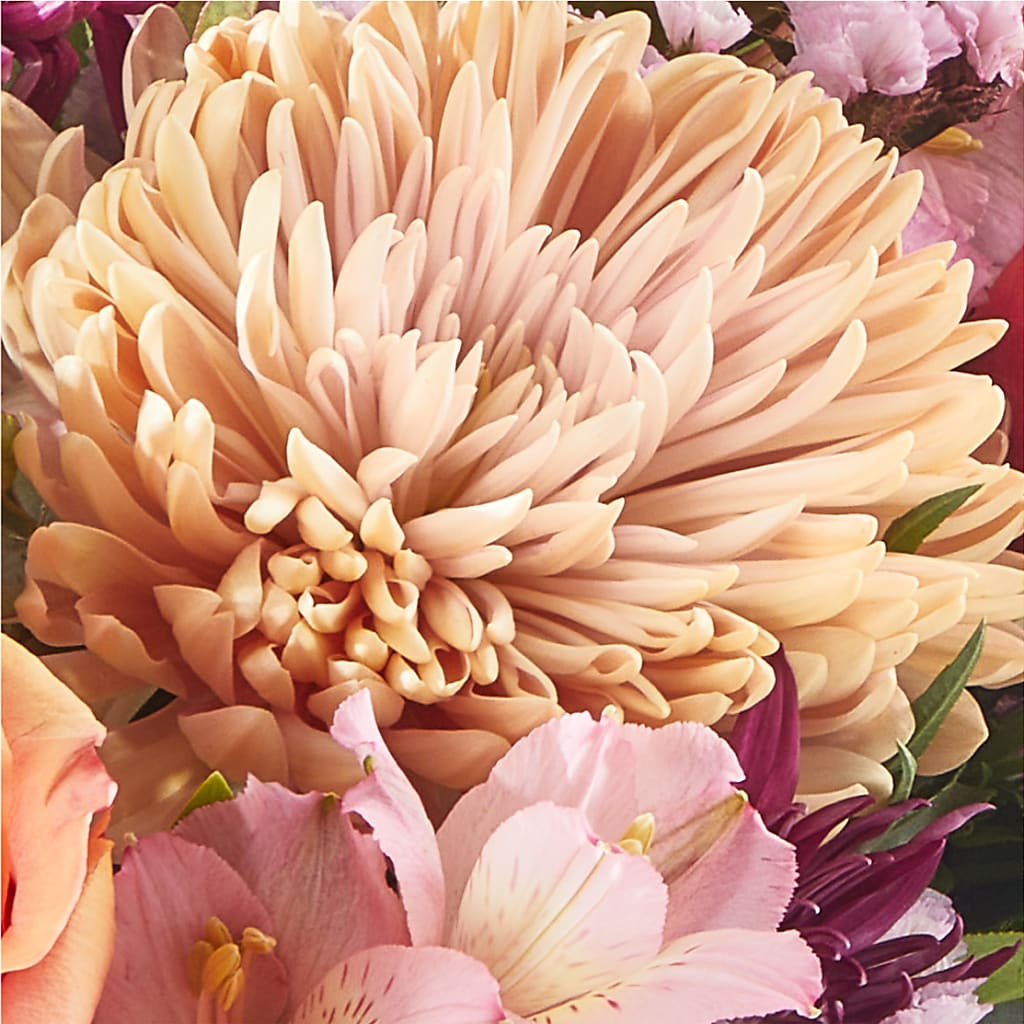 Berry Cobbler Bouquet – PAUL'S FLOWERS, Charlottetown PE