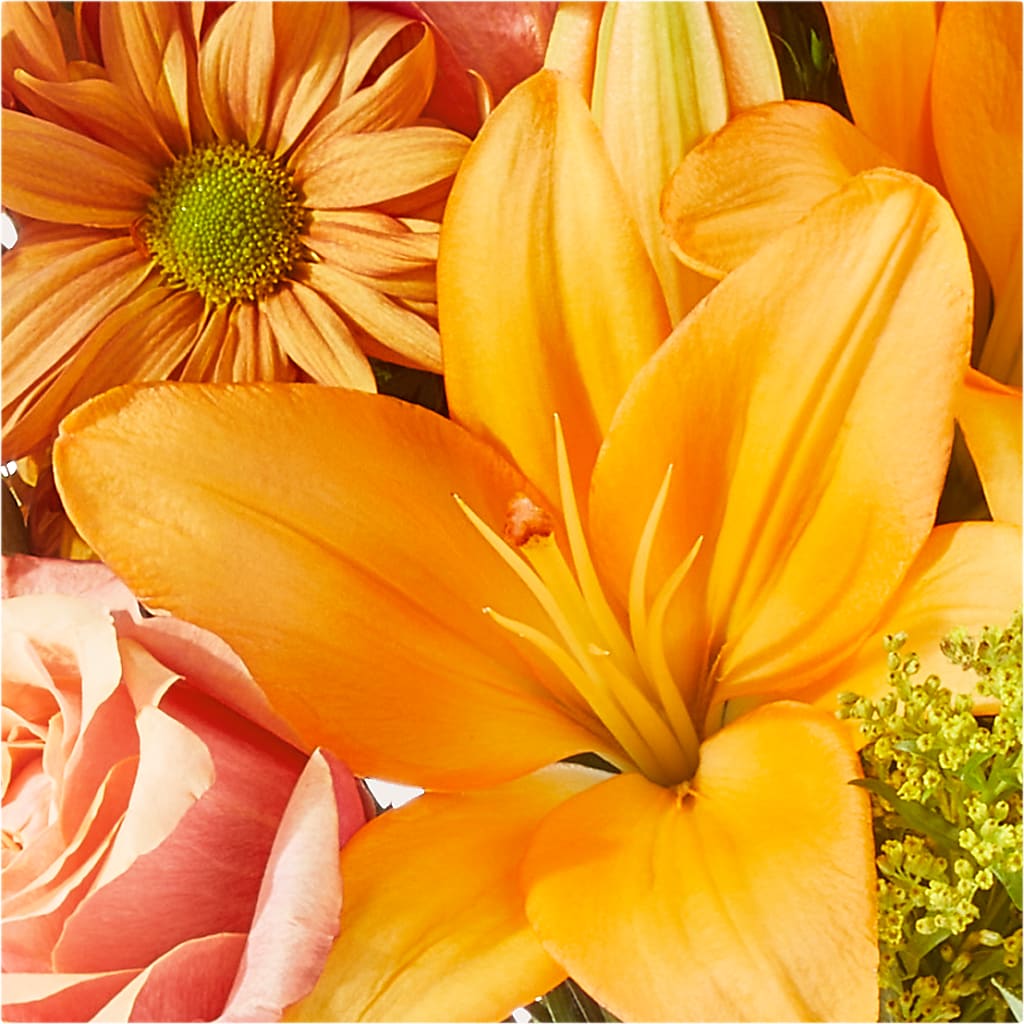 Harvest Hayride Bouquet – PAUL'S FLOWERS, Charlottetown PE