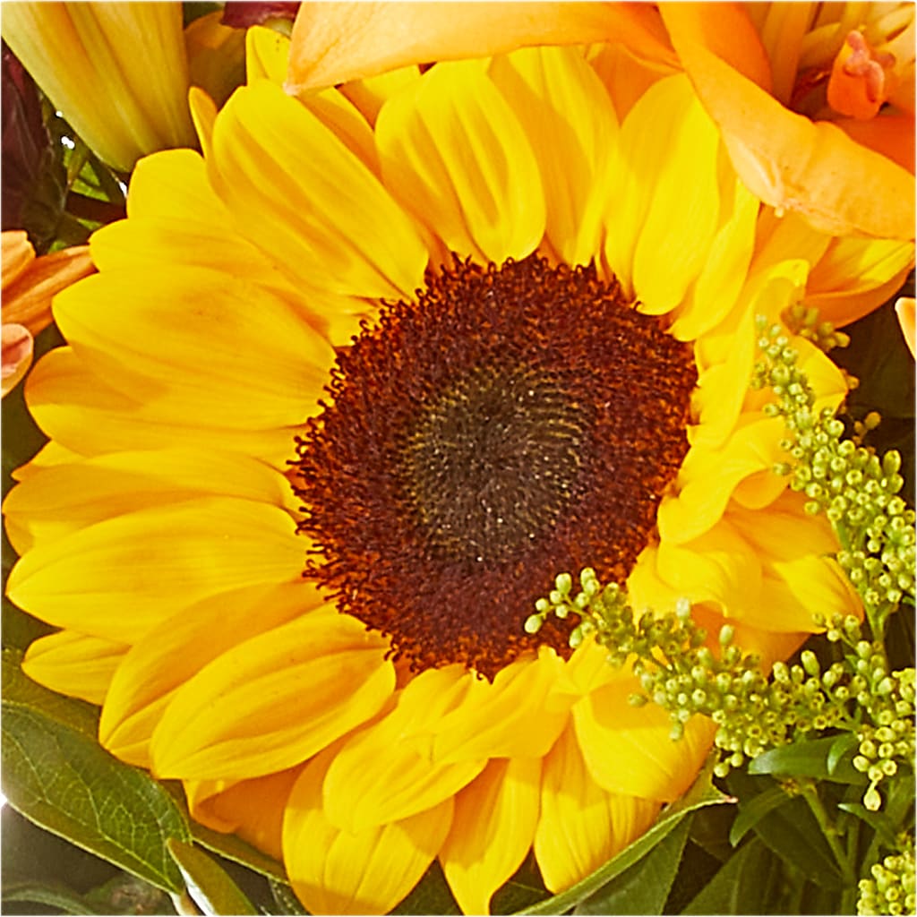 Seasons Change Bouquet – PAUL'S FLOWERS, Charlottetown PE