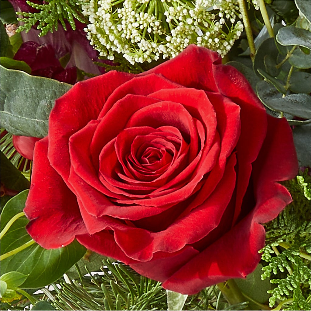 Cranberry Fizz Bouquet – PAUL'S FLOWERS, Charlottetown PE