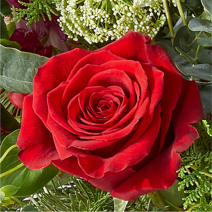 Cranberry Fizz Bouquet – PAUL'S FLOWERS, Charlottetown PE