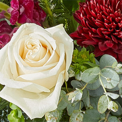 Cranberry Fizz Bouquet – PAUL'S FLOWERS, Charlottetown PE