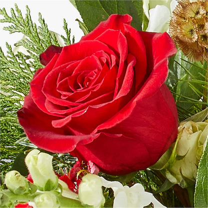 Deck the Halls Bouquet – PAUL'S FLOWERS, Charlottetown PE