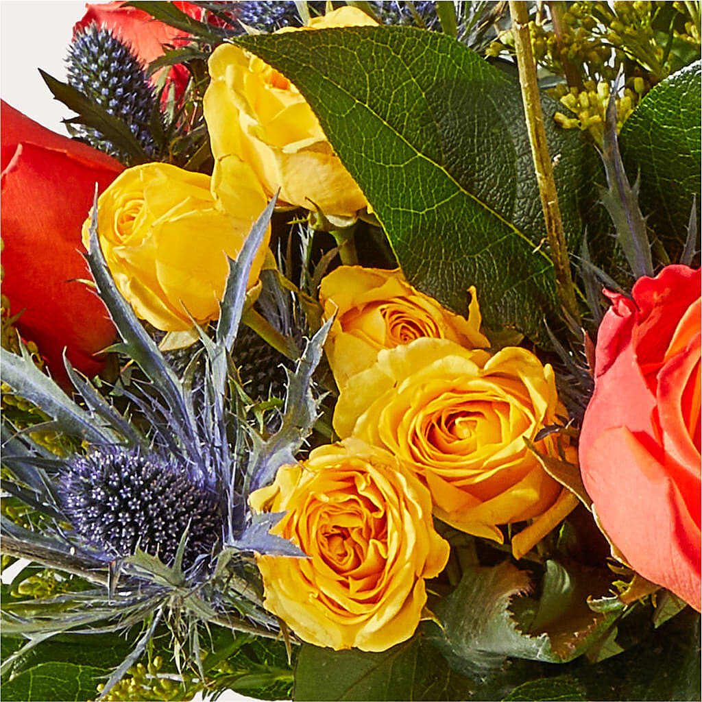 Disco Bouquet – PAUL'S FLOWERS, Charlottetown PE