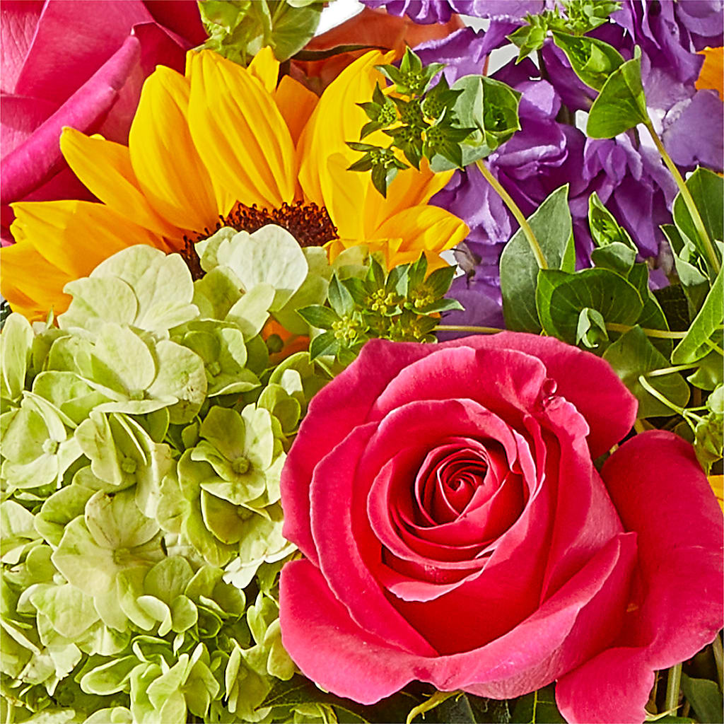 Vibrant Greetings Bouquet – PAUL'S FLOWERS, Charlottetown PE