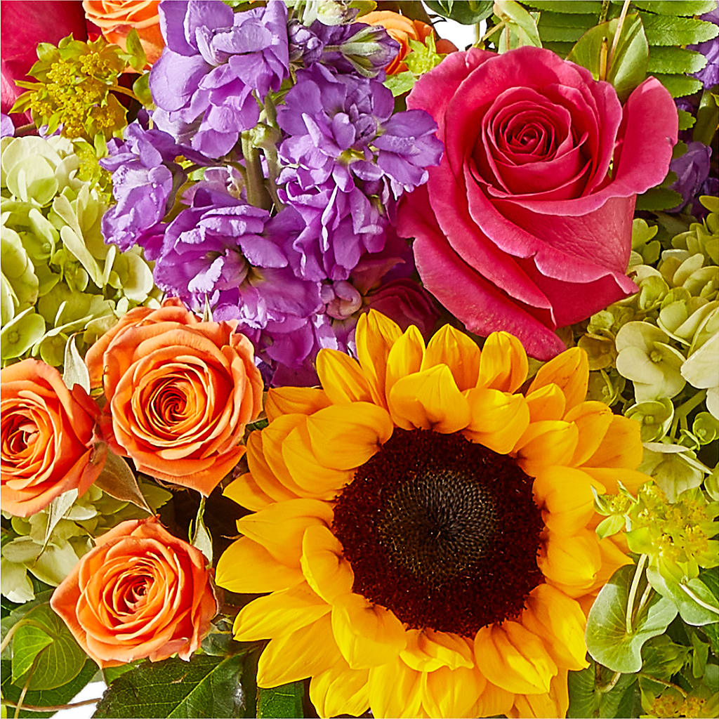 Vibrant Greetings Bouquet – PAUL'S FLOWERS, Charlottetown PE