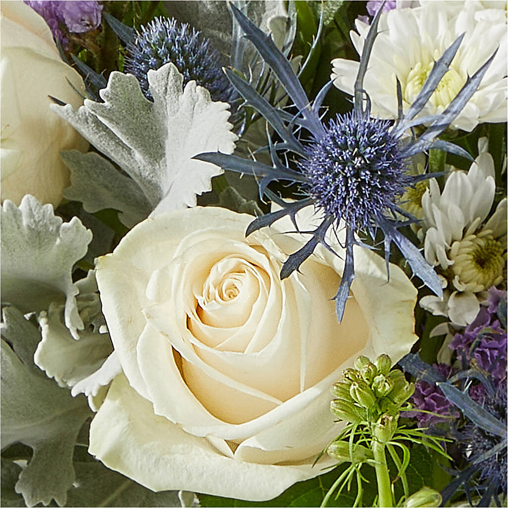 Shooting Star Bouquet – PAUL'S FLOWERS, Charlottetown PE