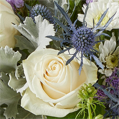 Shooting Star Bouquet – PAUL'S FLOWERS, Charlottetown PE