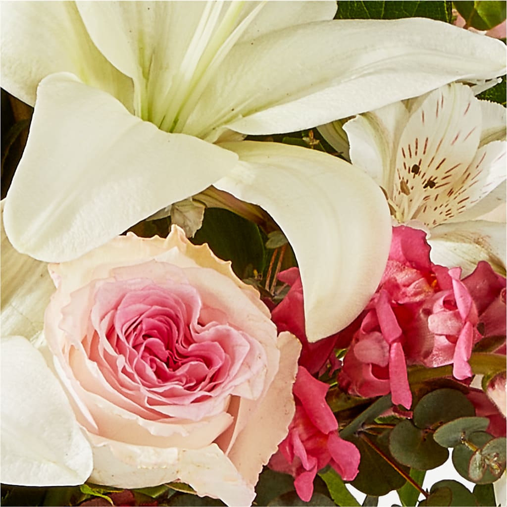 Ballet Slippers Bouquet – PAUL'S FLOWERS, Charlottetown PE