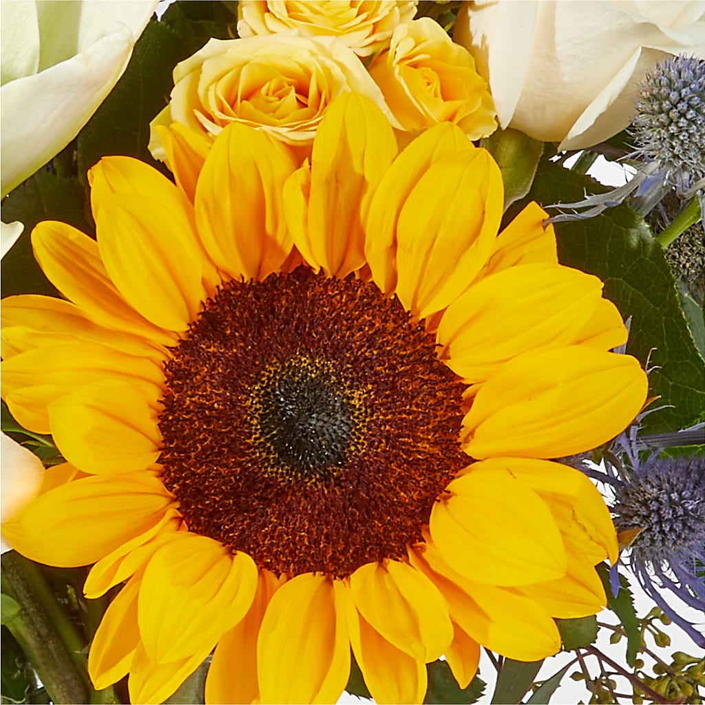 Wonderfully Sunny Bouquet – PAUL'S FLOWERS, Charlottetown PE