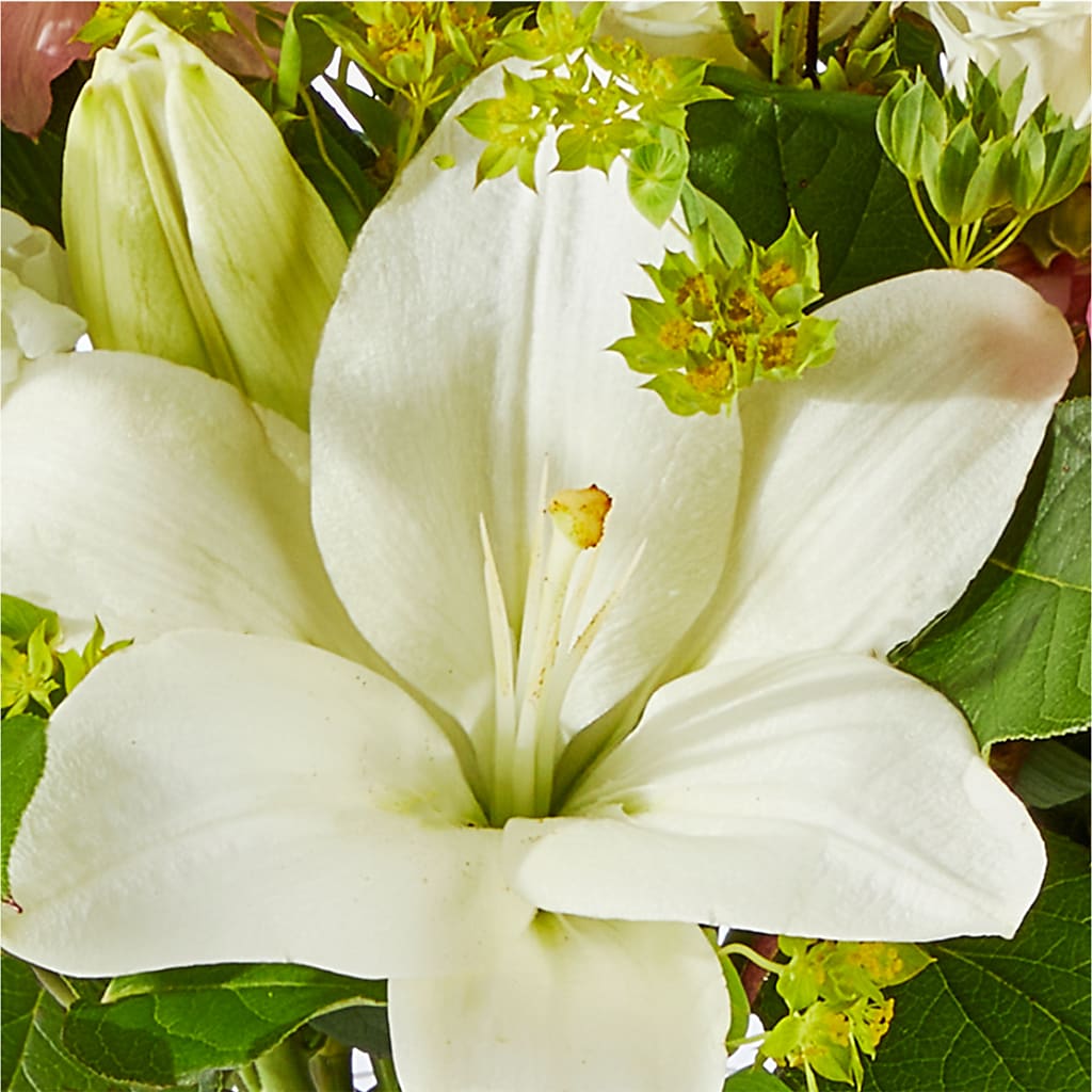 Fondly Bouquet – PAUL'S FLOWERS, Charlottetown PE