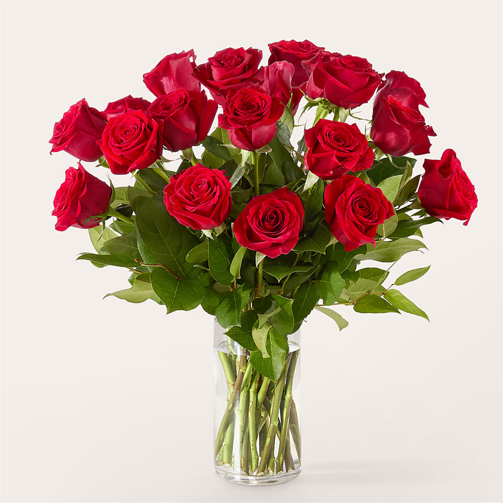 The One Red Rose Bouquet – PAUL'S FLOWERS, Charlottetown PE