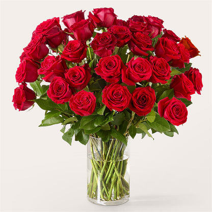 The One Red Rose Bouquet – PAUL'S FLOWERS, Charlottetown PE